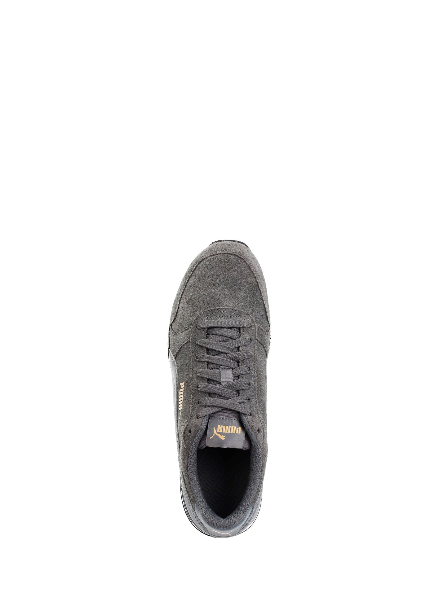 GRIGIO