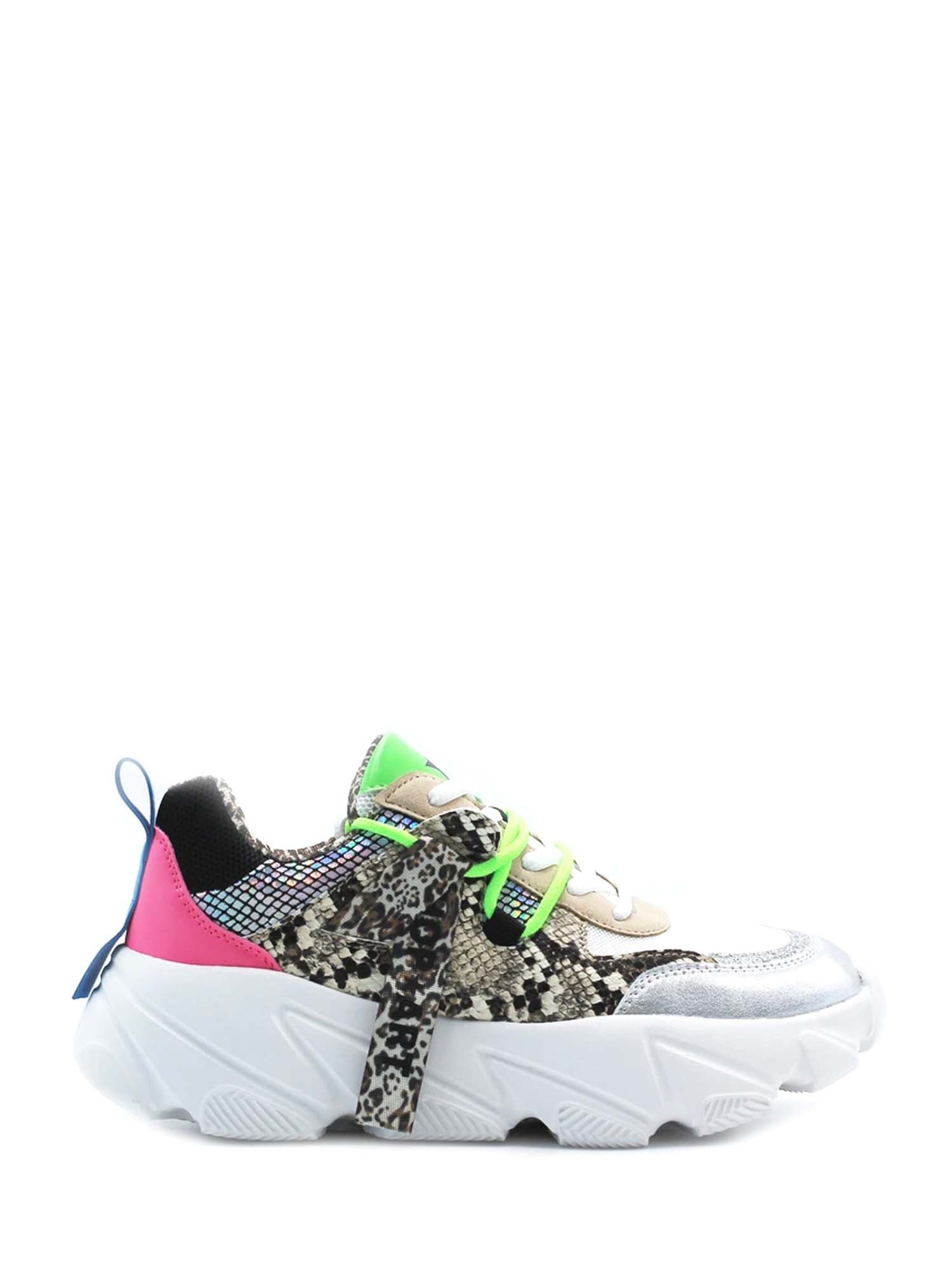 MULTICOLORE